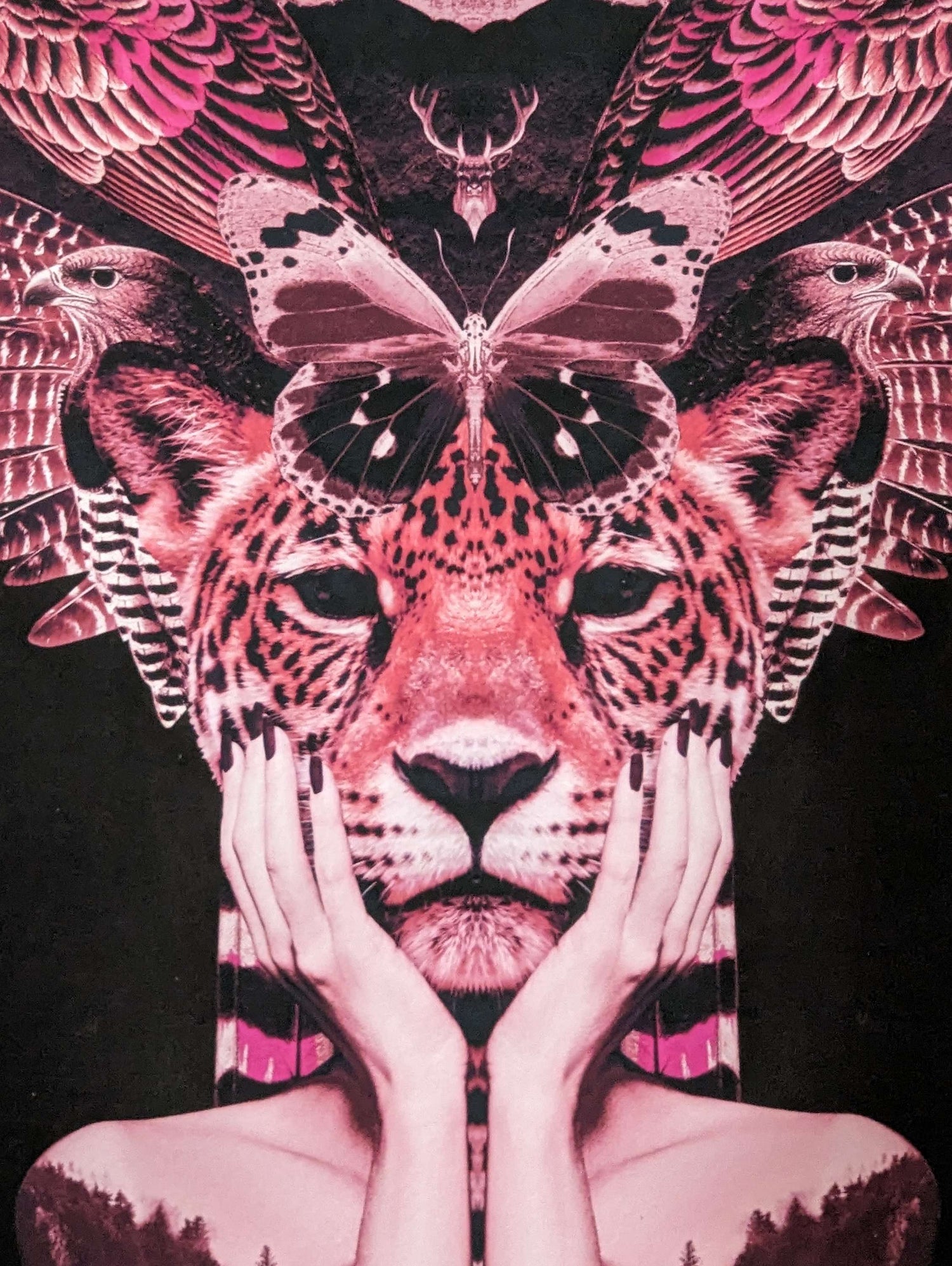 olly howe artwork in pink, womans body with tiger face and butterfly hair